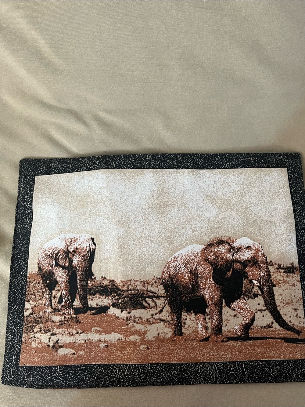 6 African Animal Print Placemats. Interchangeable. Like new. - Picture 9 of 13